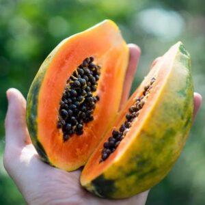 Papaya Golden 2lbs