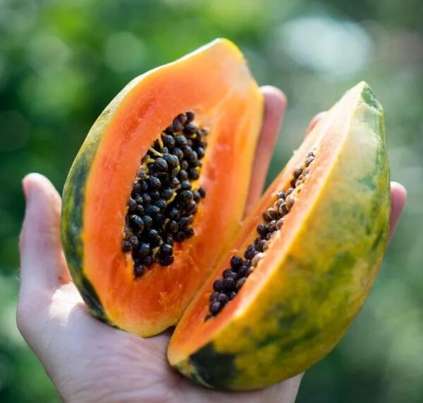 Papaya Golden 2lbs