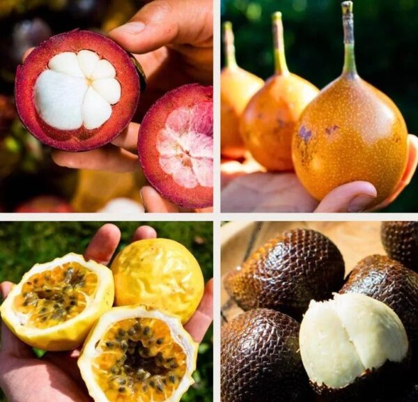 Box 4 small exquisite exotic fruits 4.5lbs - Image 2