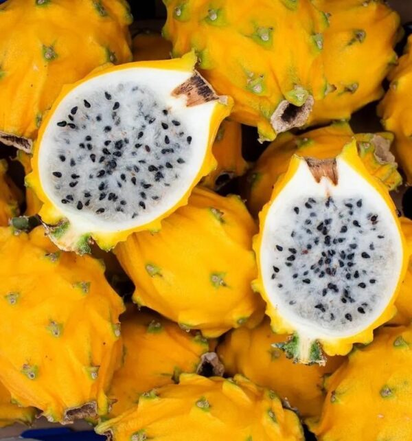Dragon fruit (pitaya) yellow sweet 6.5lbs