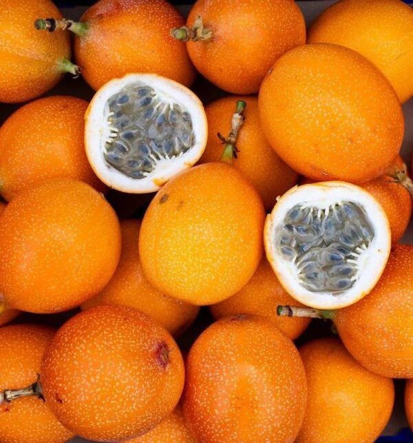 Sweet Granadilla 6.5lbs