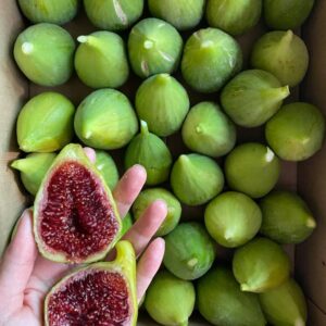 Fig Fruit