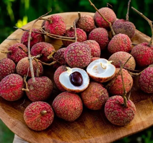 Lychee