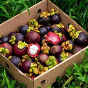 Mangosteen 3lbs
