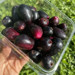 Jamun