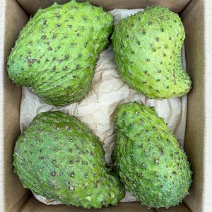 Soursop