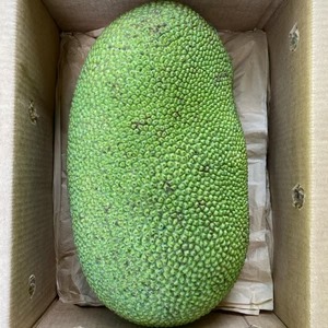 Jackfruit